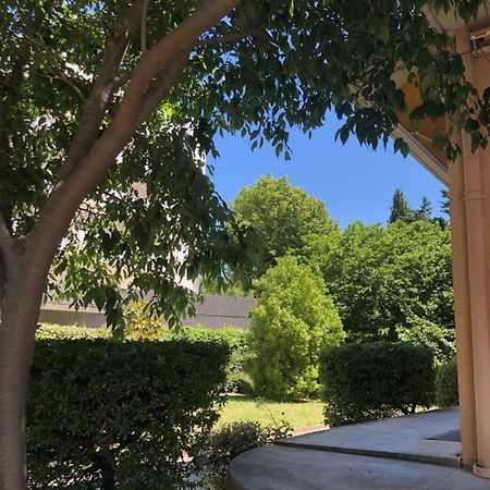Appartement Mimosa, Tram 2, Parking Montpellier Dış mekan fotoğraf