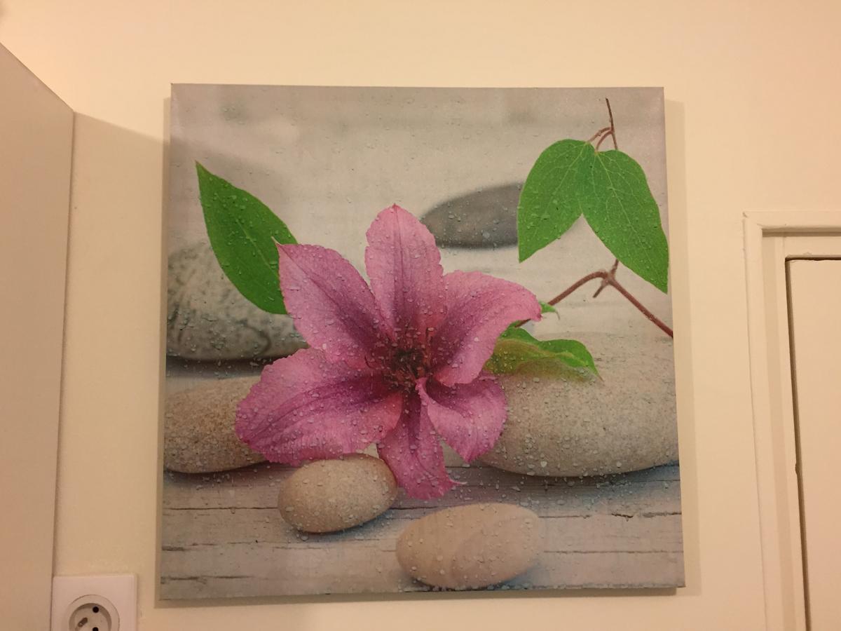 Appartement Mimosa, Tram 2, Parking Montpellier Dış mekan fotoğraf