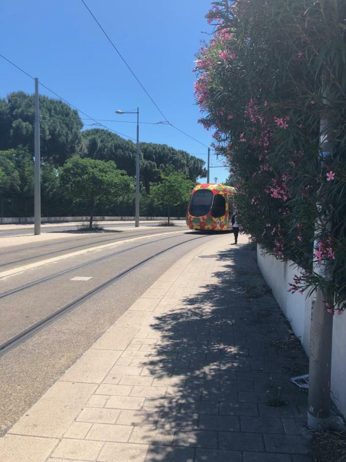 Appartement Mimosa, Tram 2, Parking Montpellier Dış mekan fotoğraf